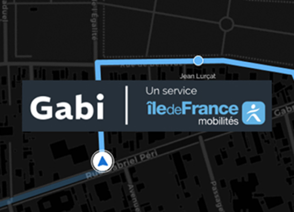 Vignettte GABI